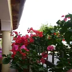 Bed & Breakfast Belvedere 3*