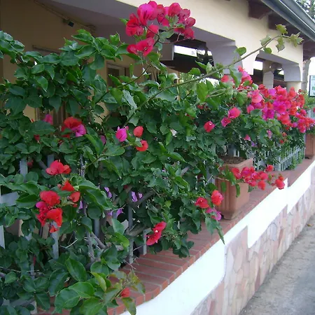 Alojamento de Acomodação e Pequeno-almoço Belvedere Residence Zungri