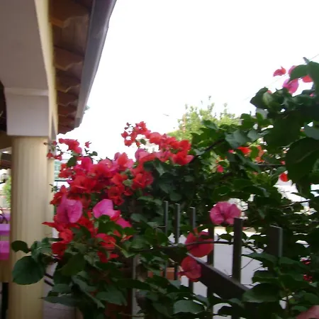 Frühstückspension Belvedere 3*