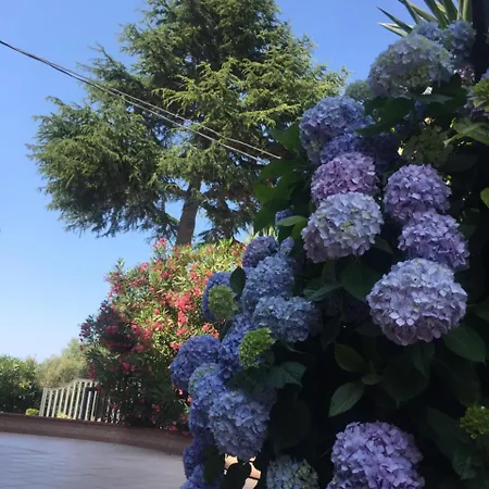 Alojamento de Acomodação e Pequeno-almoço Belvedere Residence Zungri